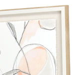 Vess Blush Affinity II Giclee Framed Art Set of 3