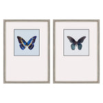 Incado Great Butterfly II Set of 2