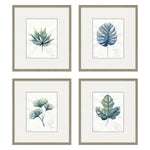 Owens Plant Drawings Exclusive Framed Art Set of 4