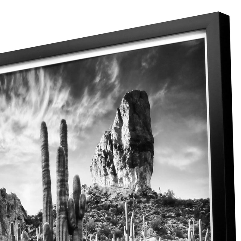 Prost Desert View Framed Art