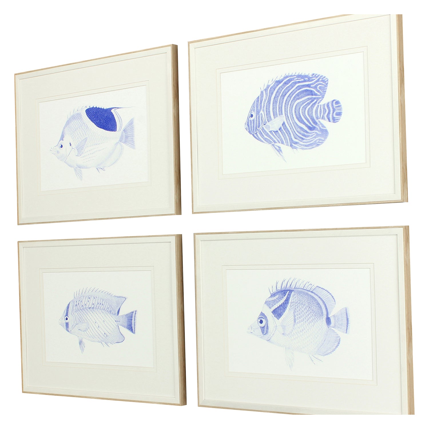 Vision Studio Blue Fish Framed Art Set of 4