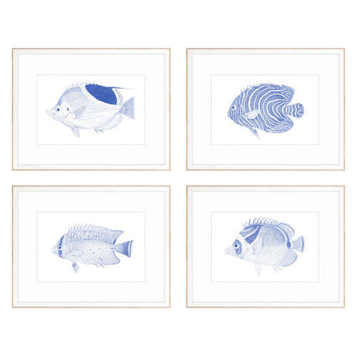 Vision Studio Blue Fish Framed Art Set of 4