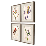 Sikie Bird Family Framed Art Set of 4