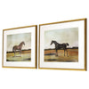 McCavitt Equestrian III Framed Art Set of 2