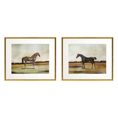 McCavitt Equestrian III Framed Art Set of 2