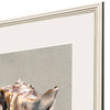 Langdon Tiger Shell Framed Art Set of 4