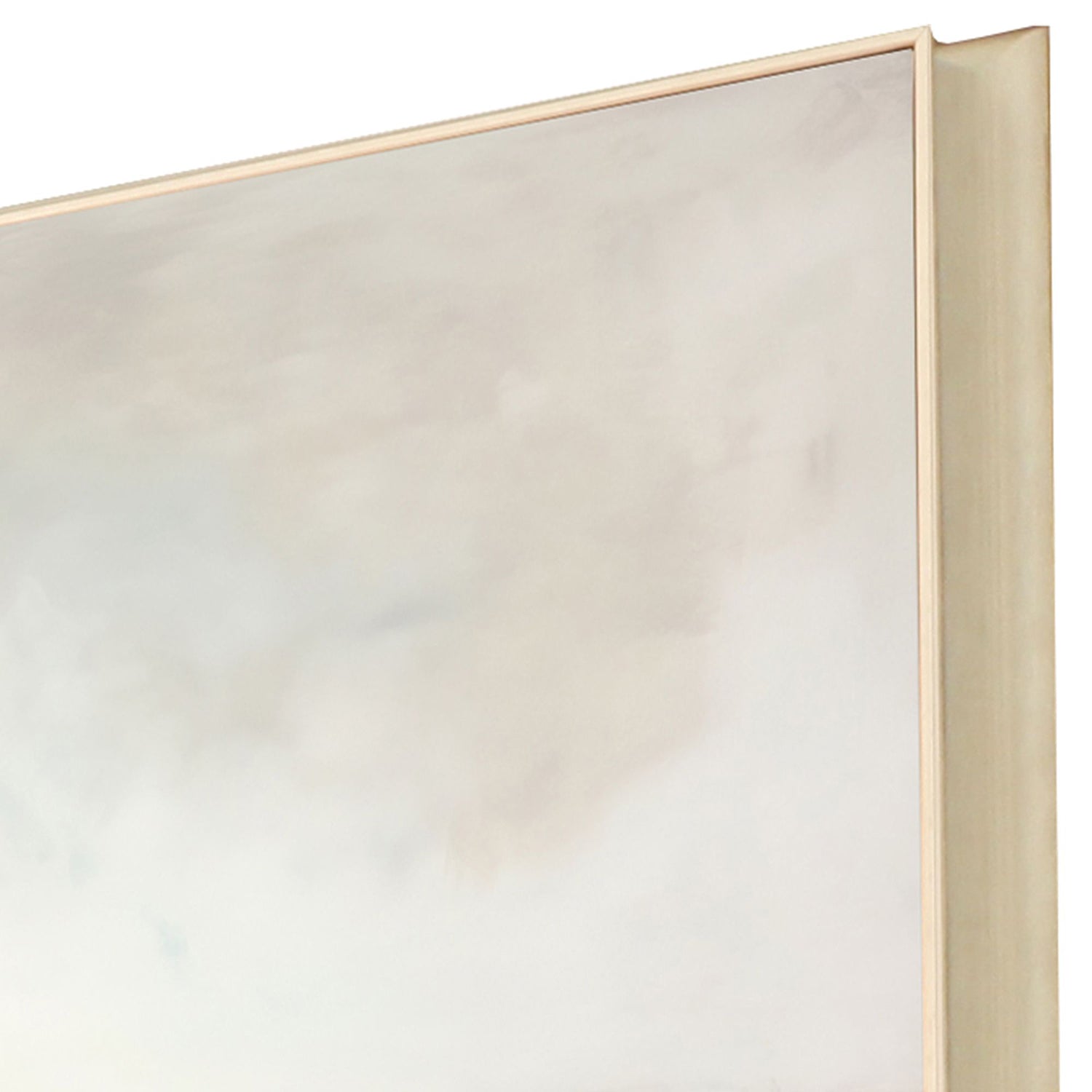 Orlov Observe the Beauty II Framed Art