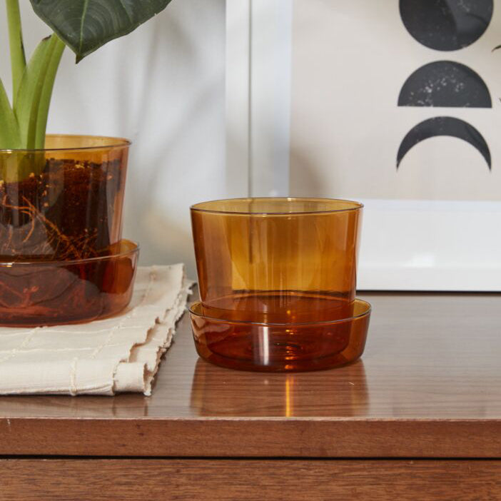 Glass Pot with Saucer