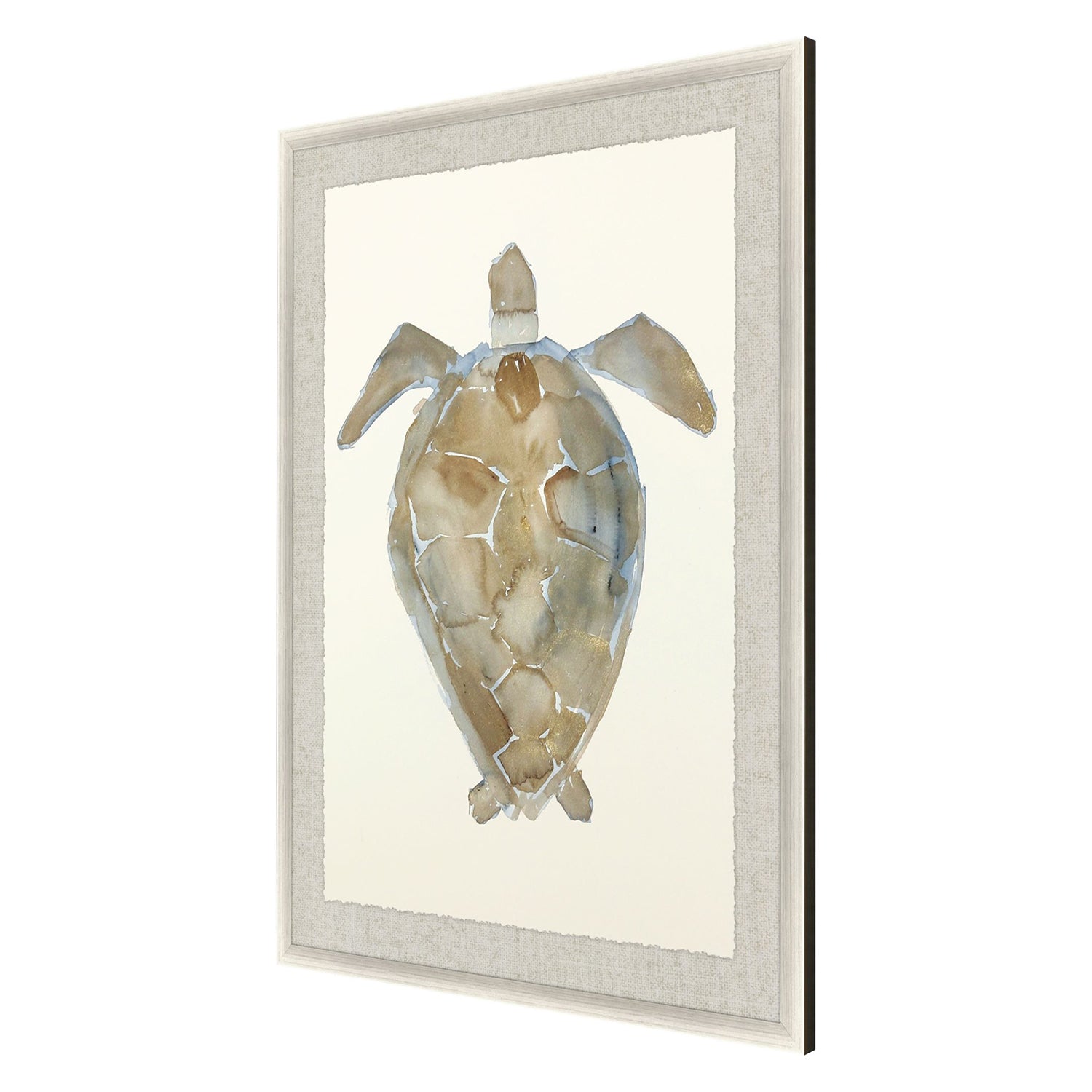 Adamson-Ray Neutral Turtle II Framed Art
