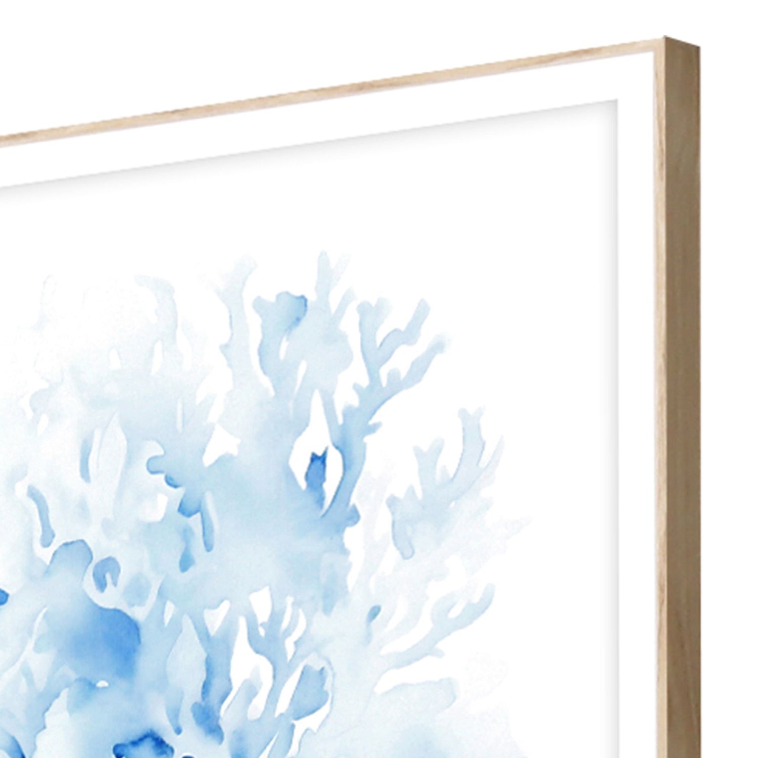 Petal Prints Indigo Coral Framed Art Set of 4