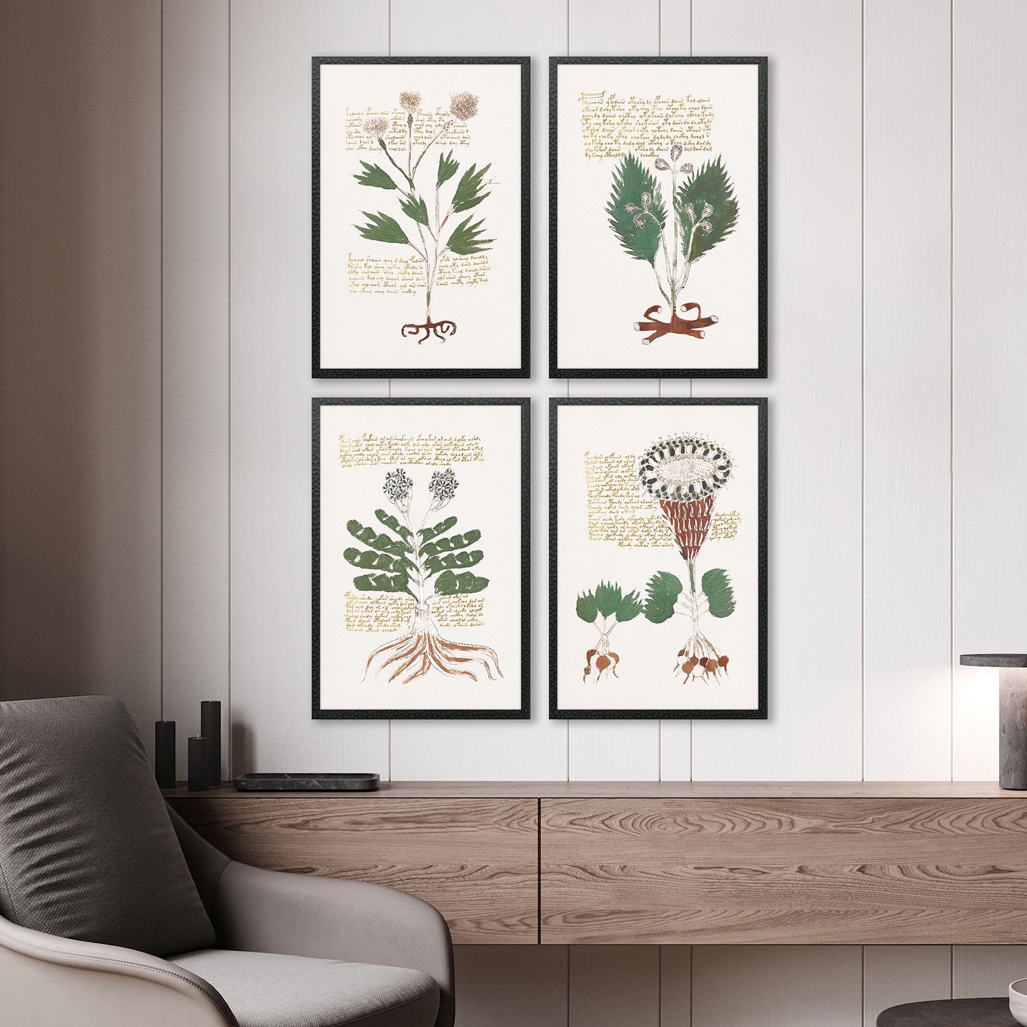 Renaissance Magial Botany Framed Artwork Set of 4