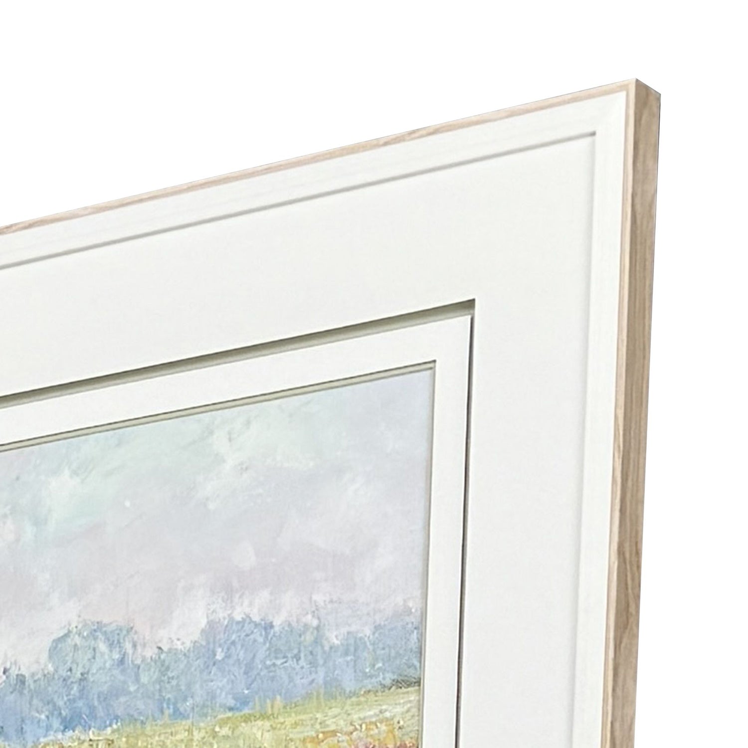 Thomas Colors of Spring Framed Artwork Set of 4