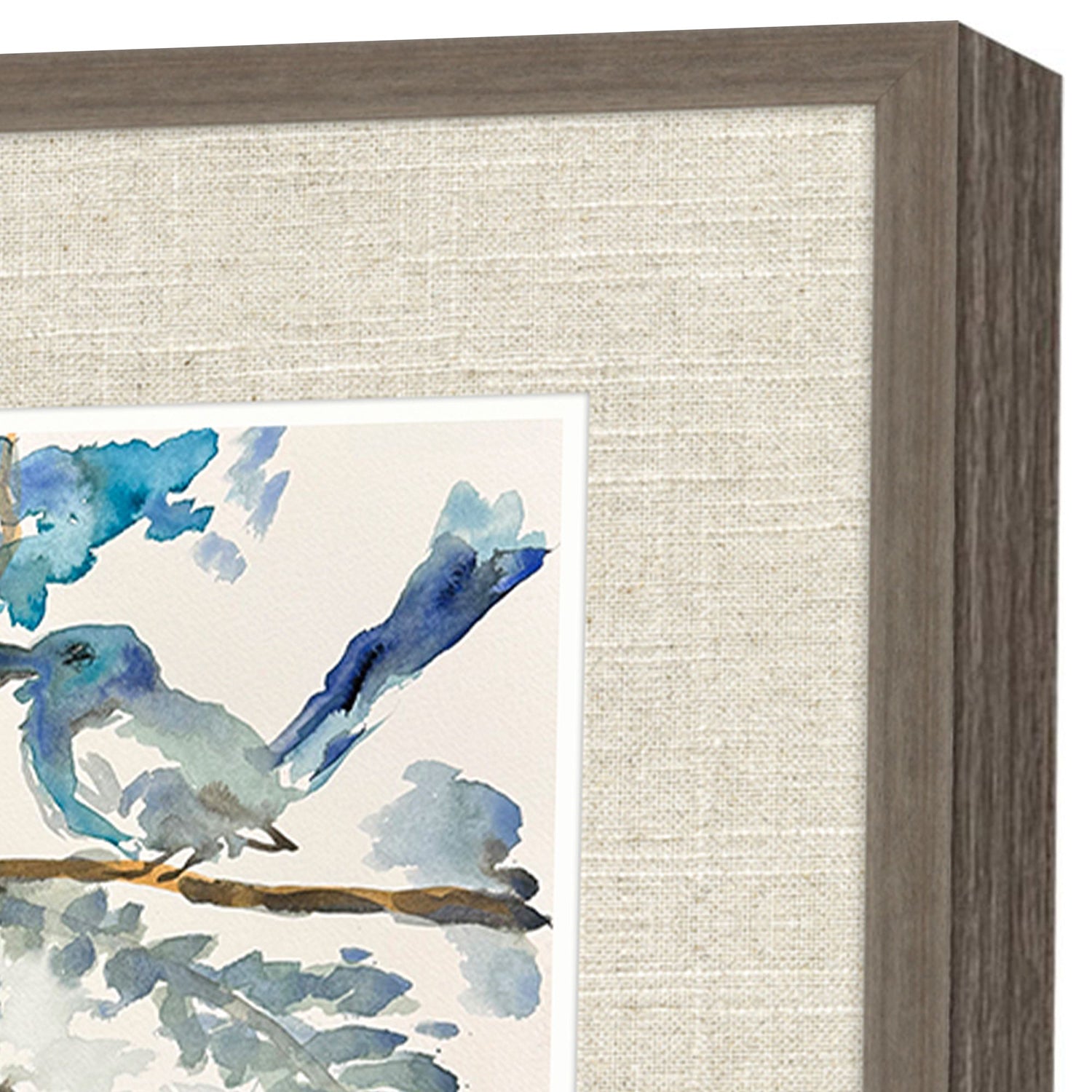 Adamson Ray Here Birdie Birdie Framed Artwork Set of 2