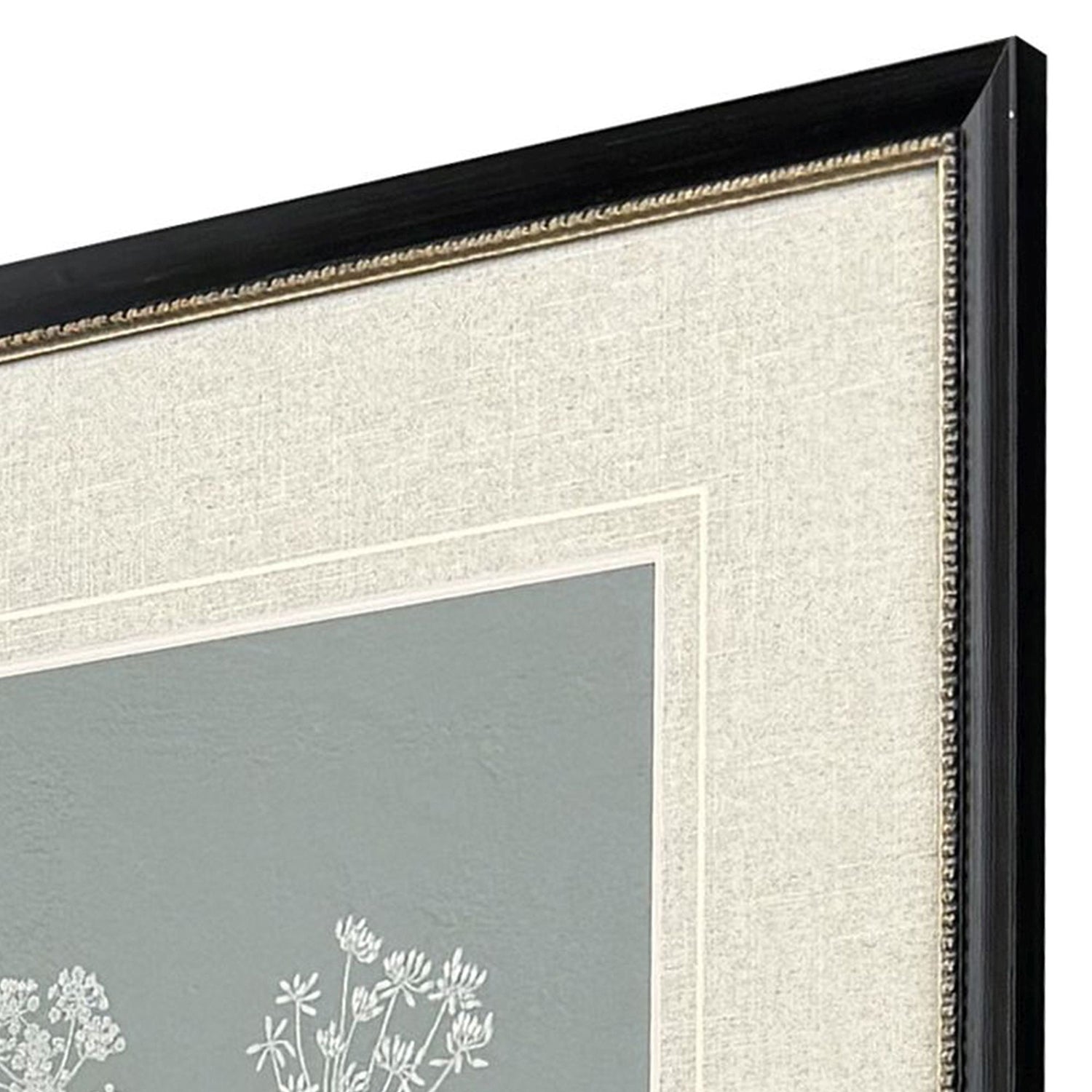Adams Natures Gift I Framed Artwork Set of 2