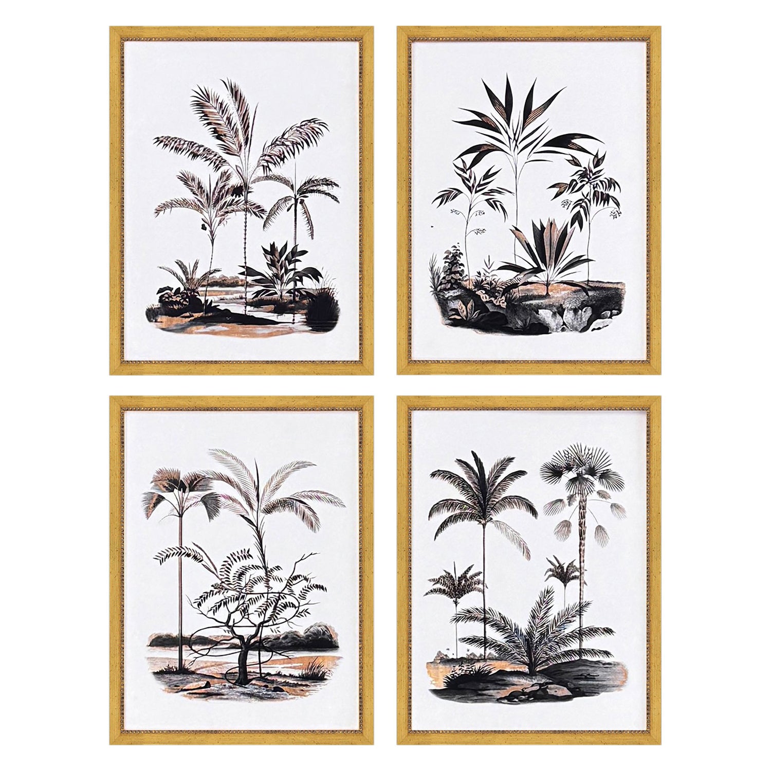Drammis Exotic Terrain Framed Artwork Set of 4
