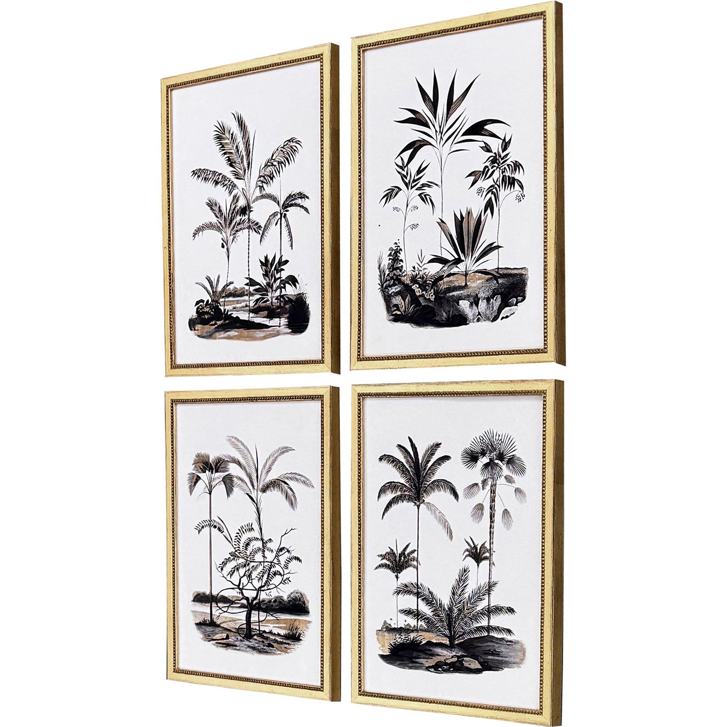 Drammis Exotic Terrain Framed Artwork Set of 4