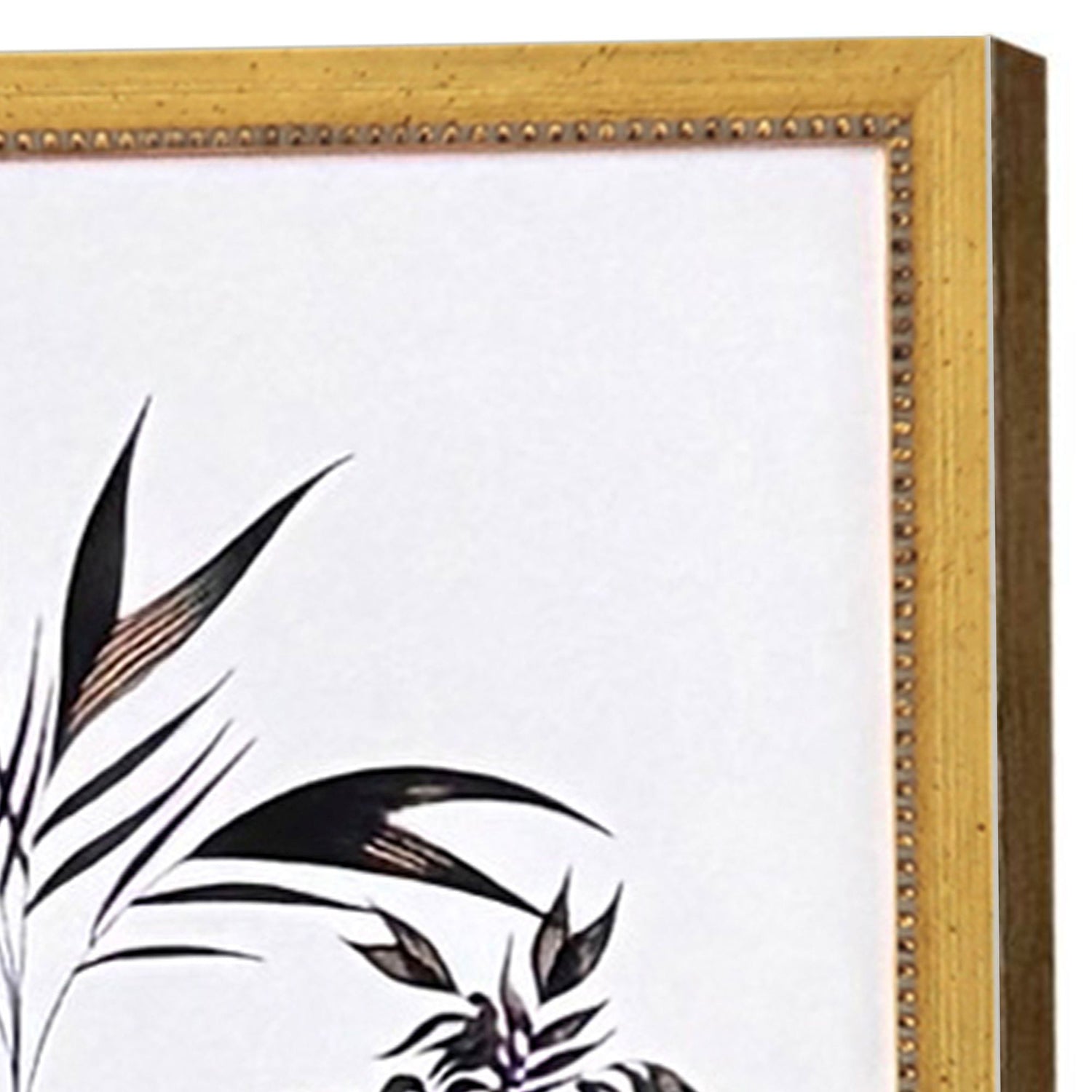Drammis Exotic Terrain Framed Artwork Set of 4