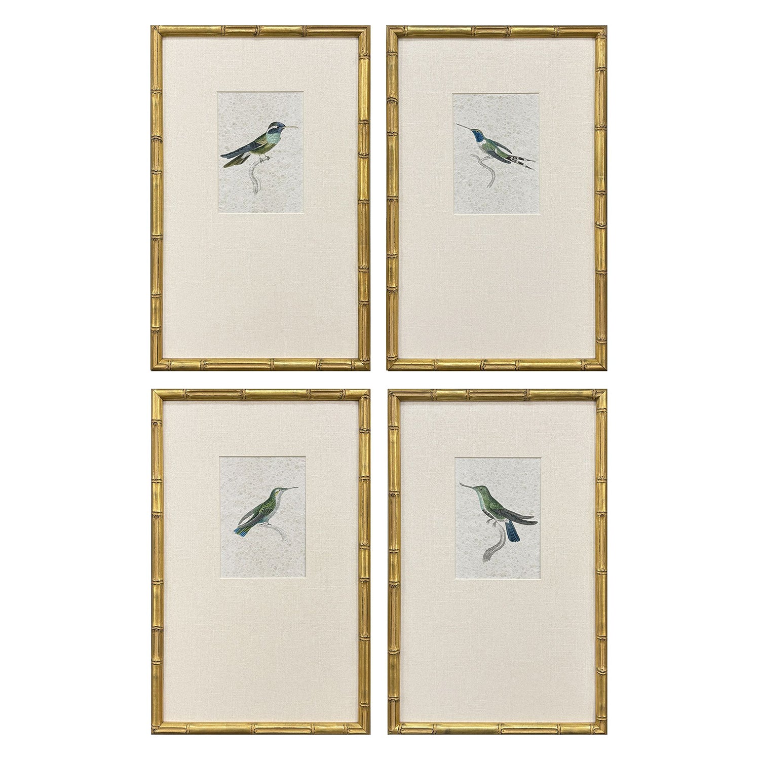 Unknown Antique Hummingbirds Framed Artwork Set of 4
