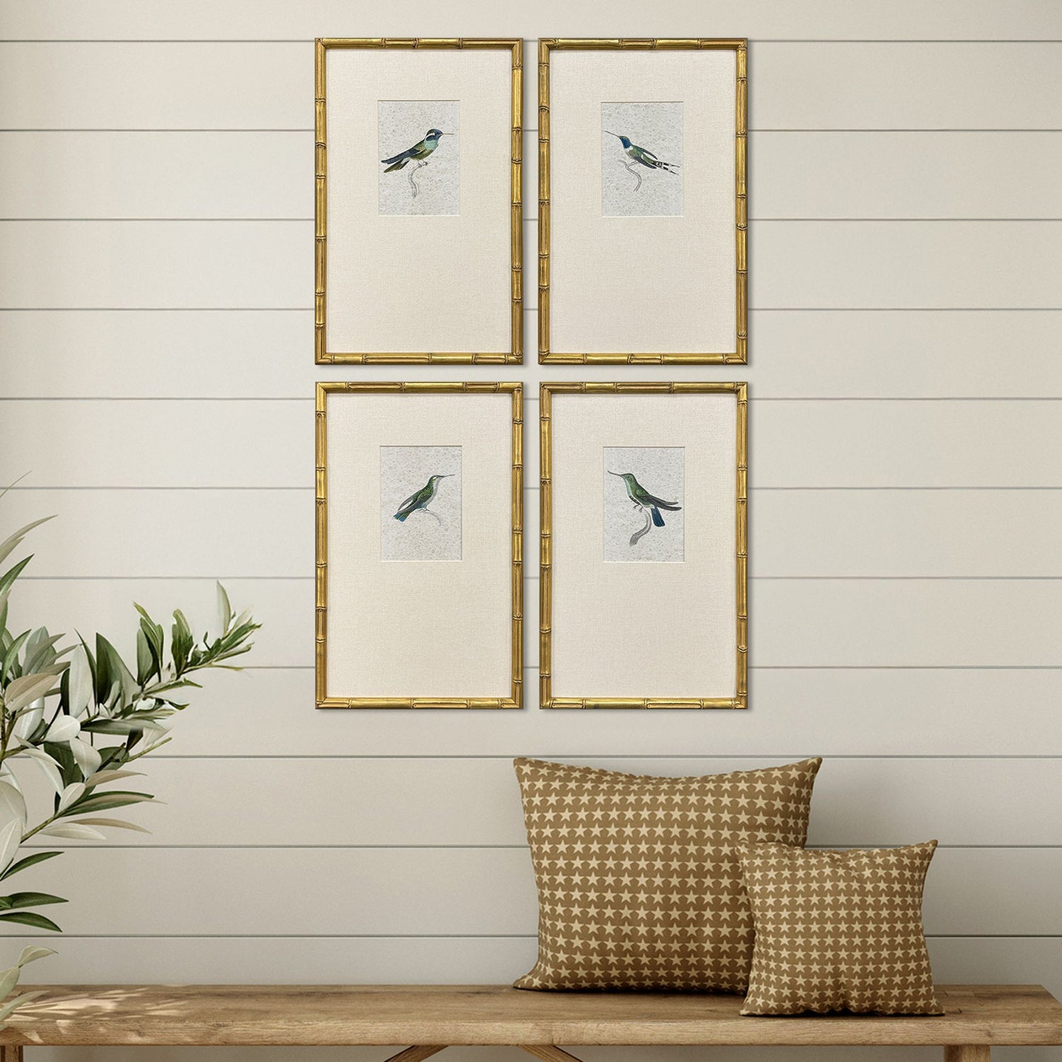 Unknown Antique Hummingbirds Framed Artwork Set of 4
