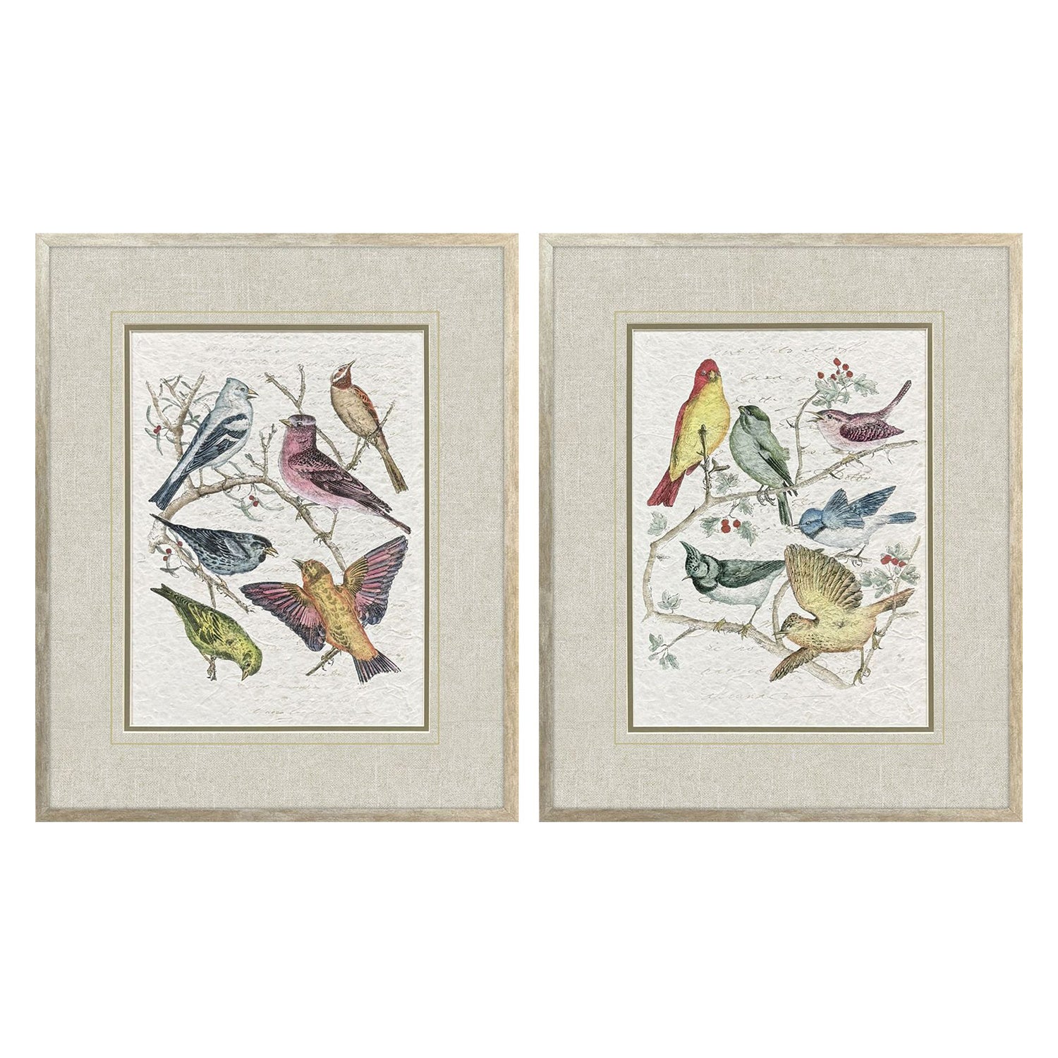 Unknown Bird Variety Framed Artwork Set of 2