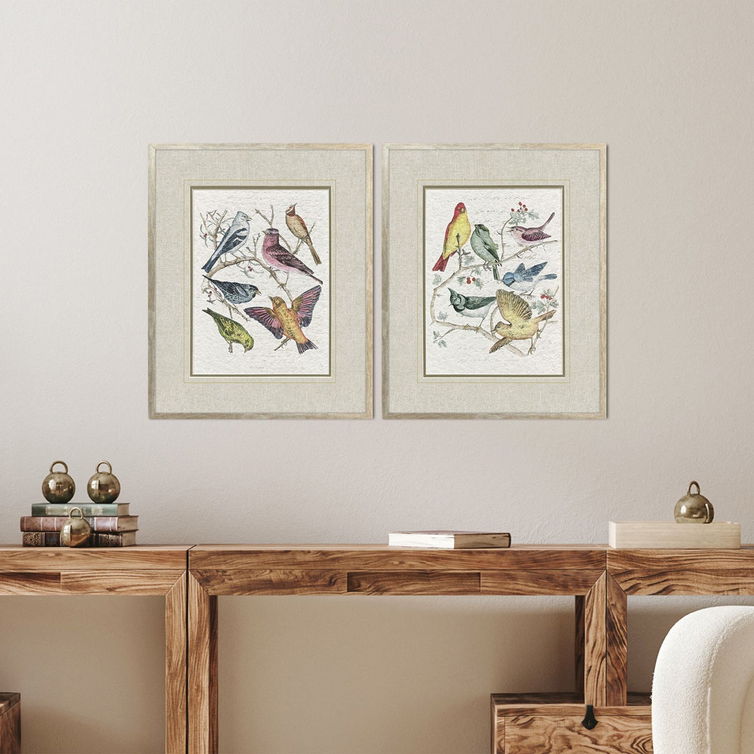 Unknown Bird Variety Framed Artwork Set of 2