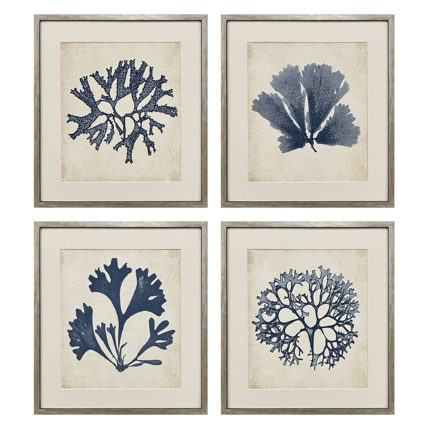 Unknown Indigo Sea Life Framed Artwork Set of 4