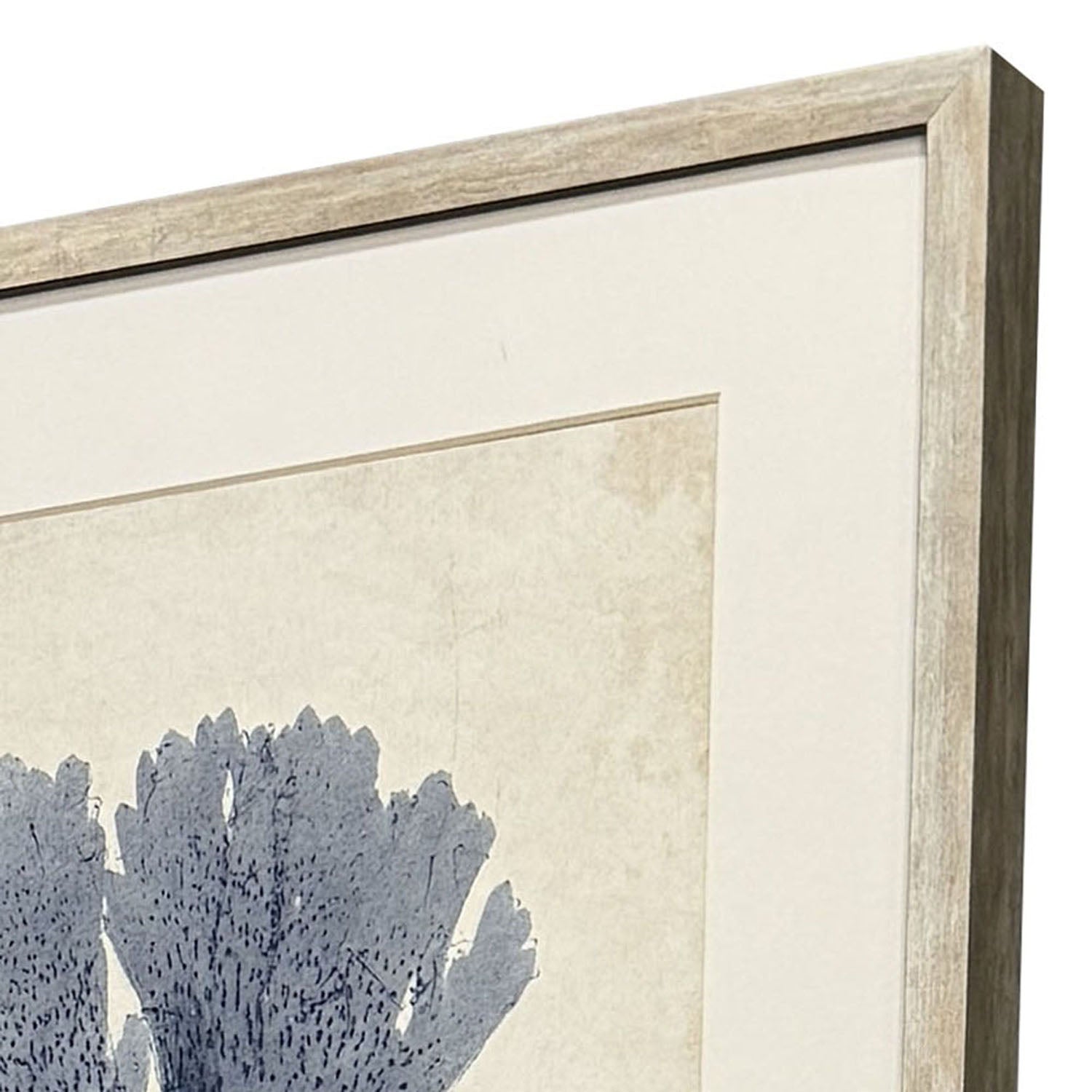 Unknown Indigo Sea Life Framed Artwork Set of 4