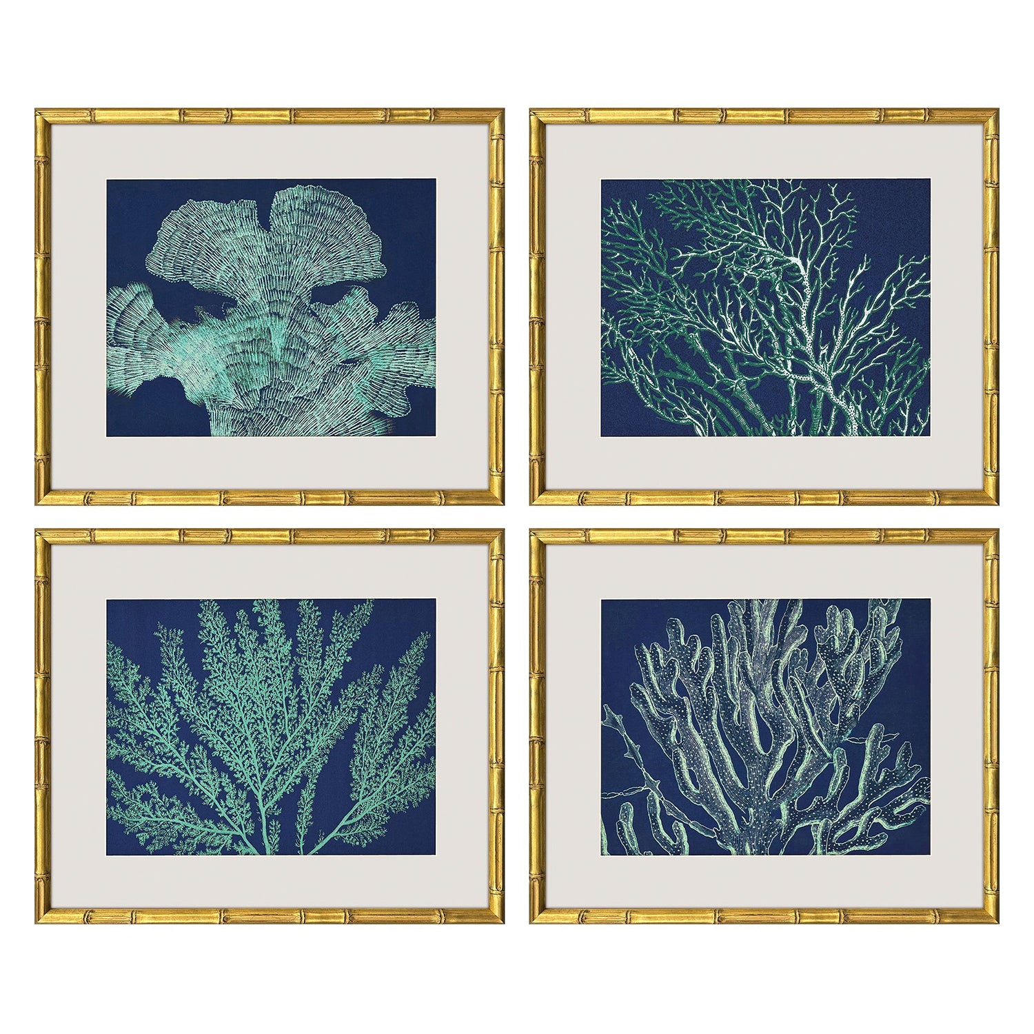 Giclee Studio Sea Garden Framed Artwork Set of 4
