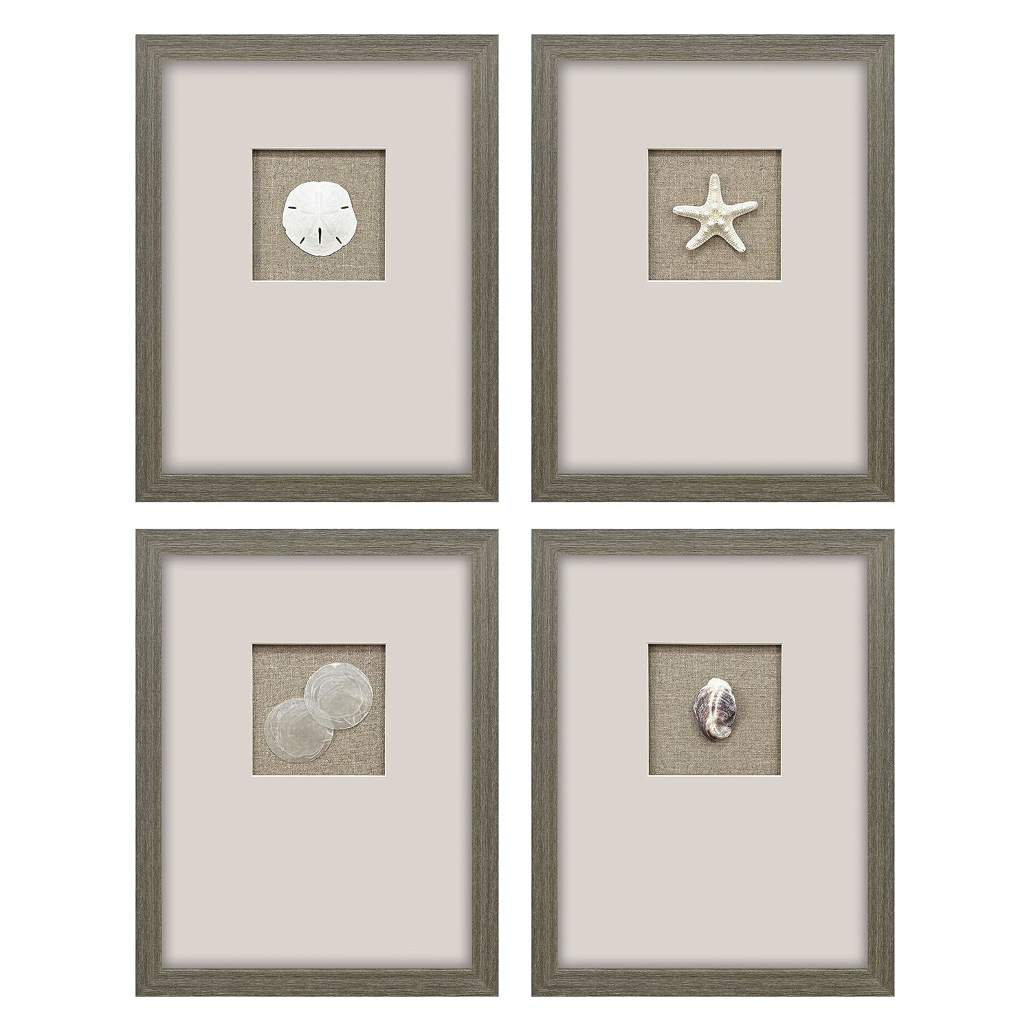 Inspire Studio Natural Elements Framed Artwork Set of 4
