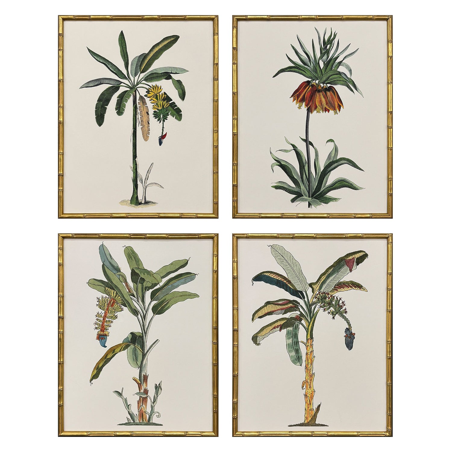 Giclee Studio Contemporary Palm I Framed Artwork Set of 4