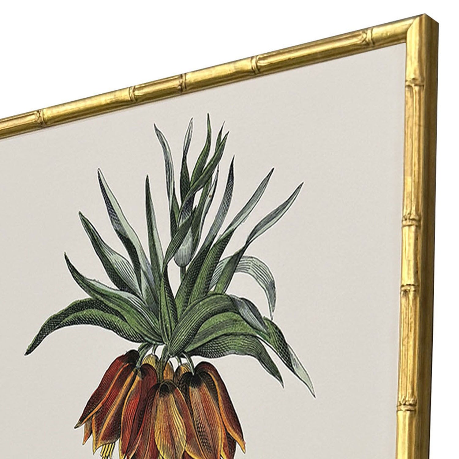 Giclee Studio Contemporary Palm I Framed Artwork Set of 4