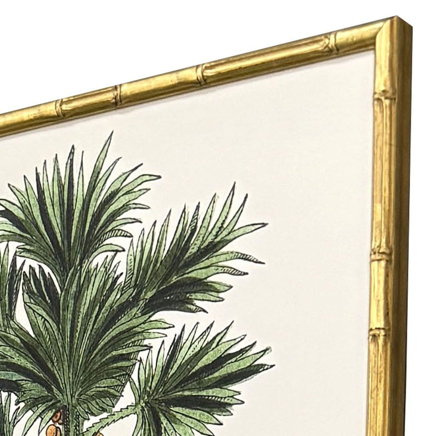 Giclee Studio Contemporary Palm II Framed Artwork Set of 4