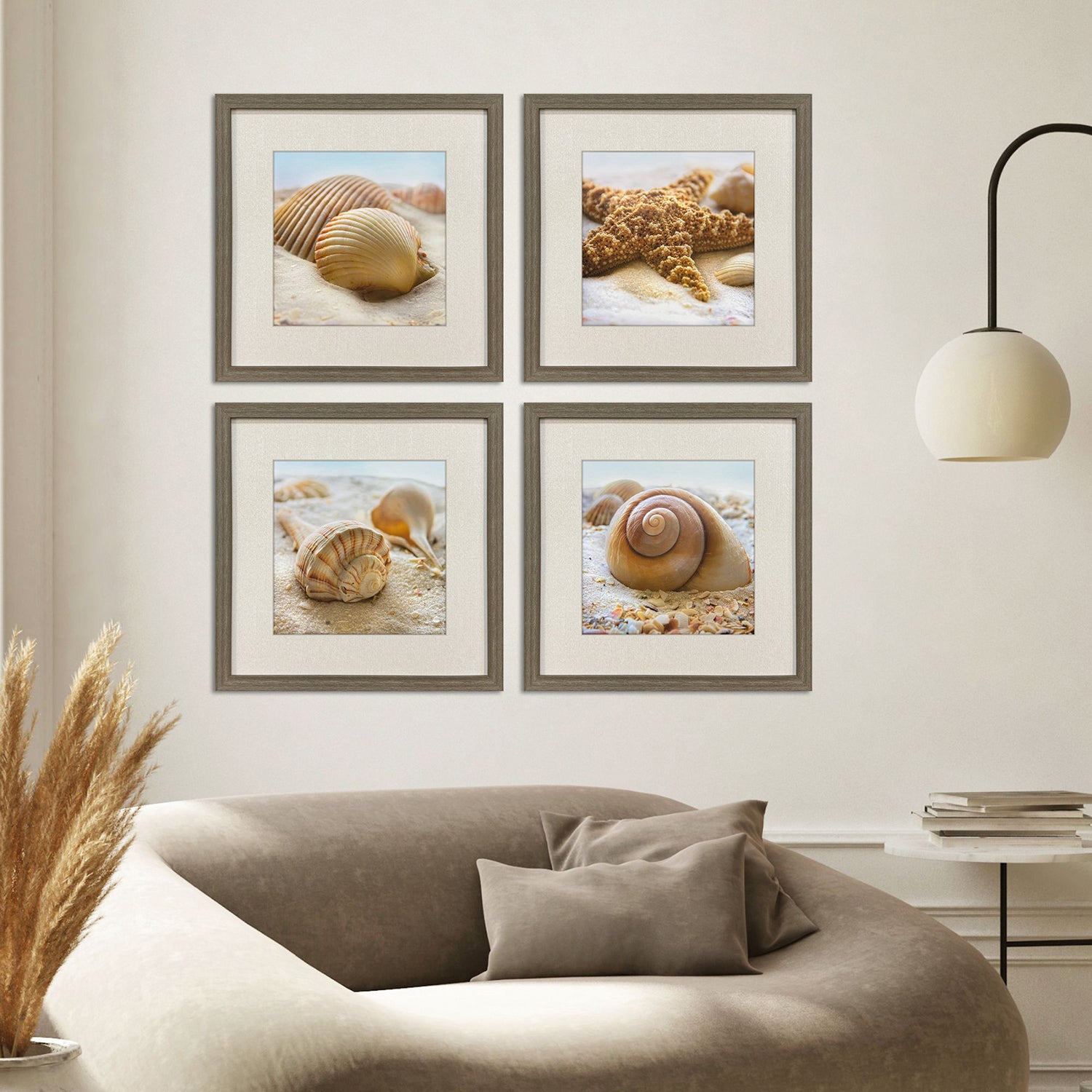 Geissler Beachy Shells Framed Artwork Set of 4