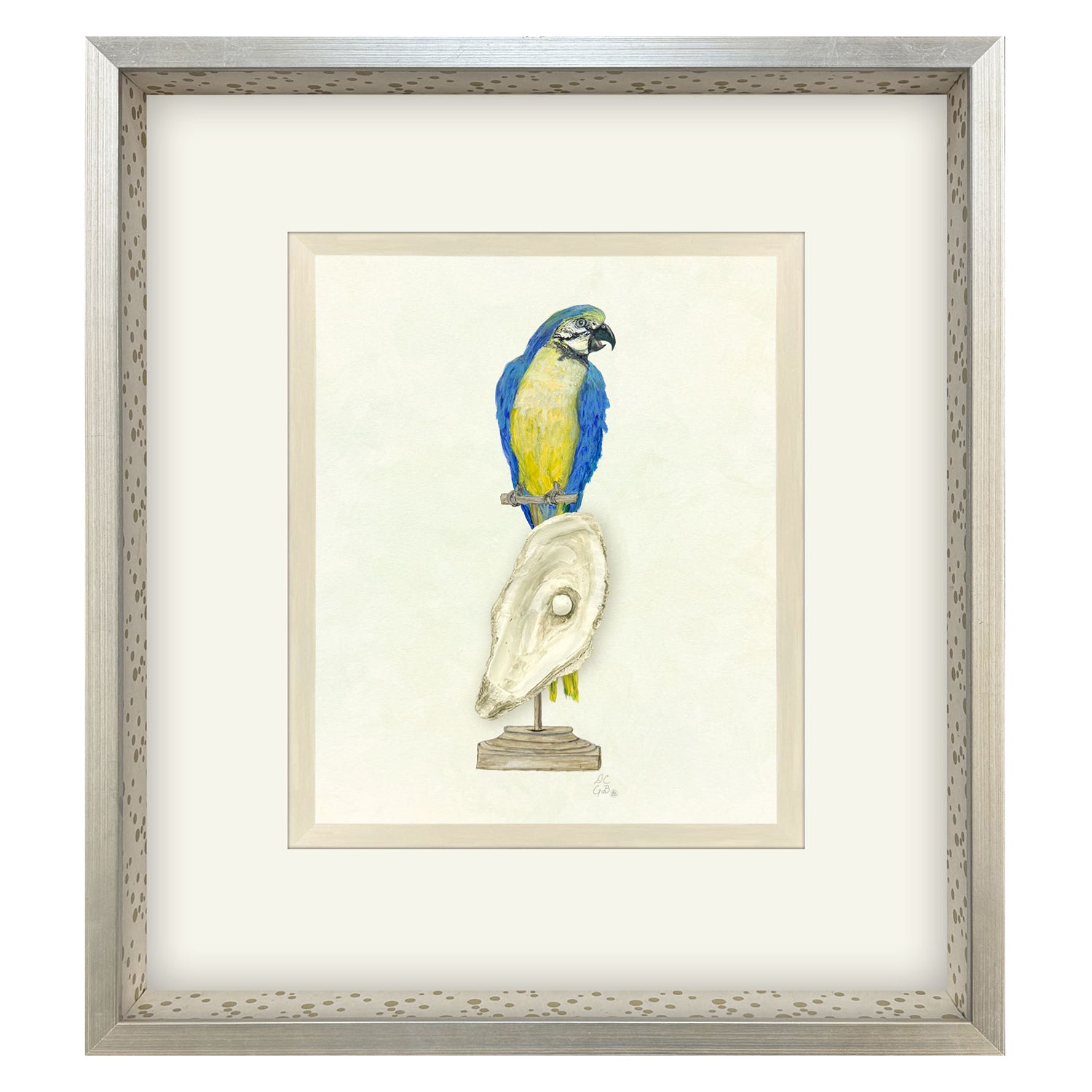 PopJoy Studio Treasure Parrot I Framed Artwork