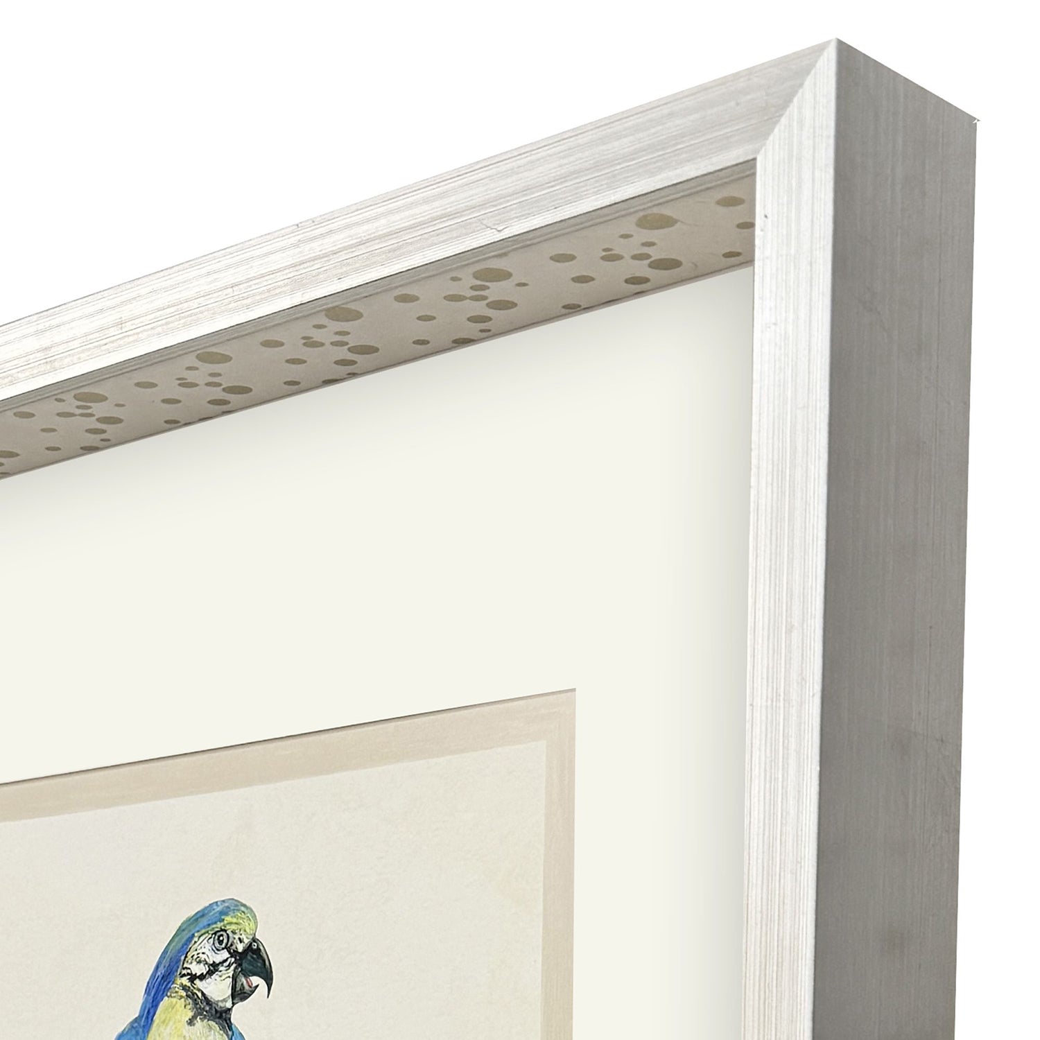 PopJoy Studio Treasure Parrot I Framed Artwork