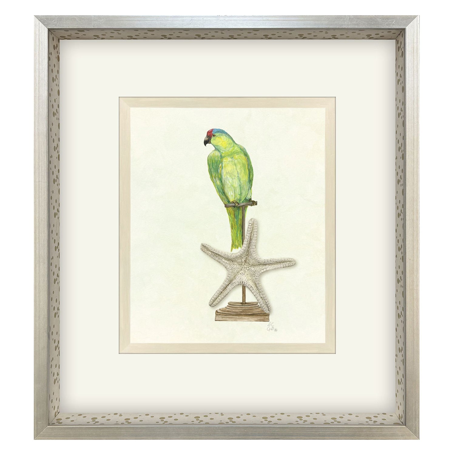 PopJoy Studio Treasure Parrot II Framed Artwork