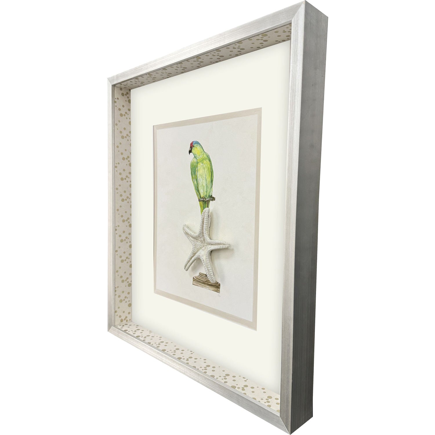 PopJoy Studio Treasure Parrot II Framed Artwork
