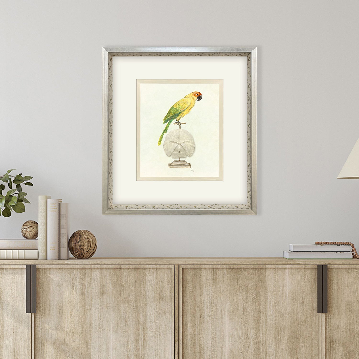 PopJoy Studio Treasure Parrot III Framed Artwork