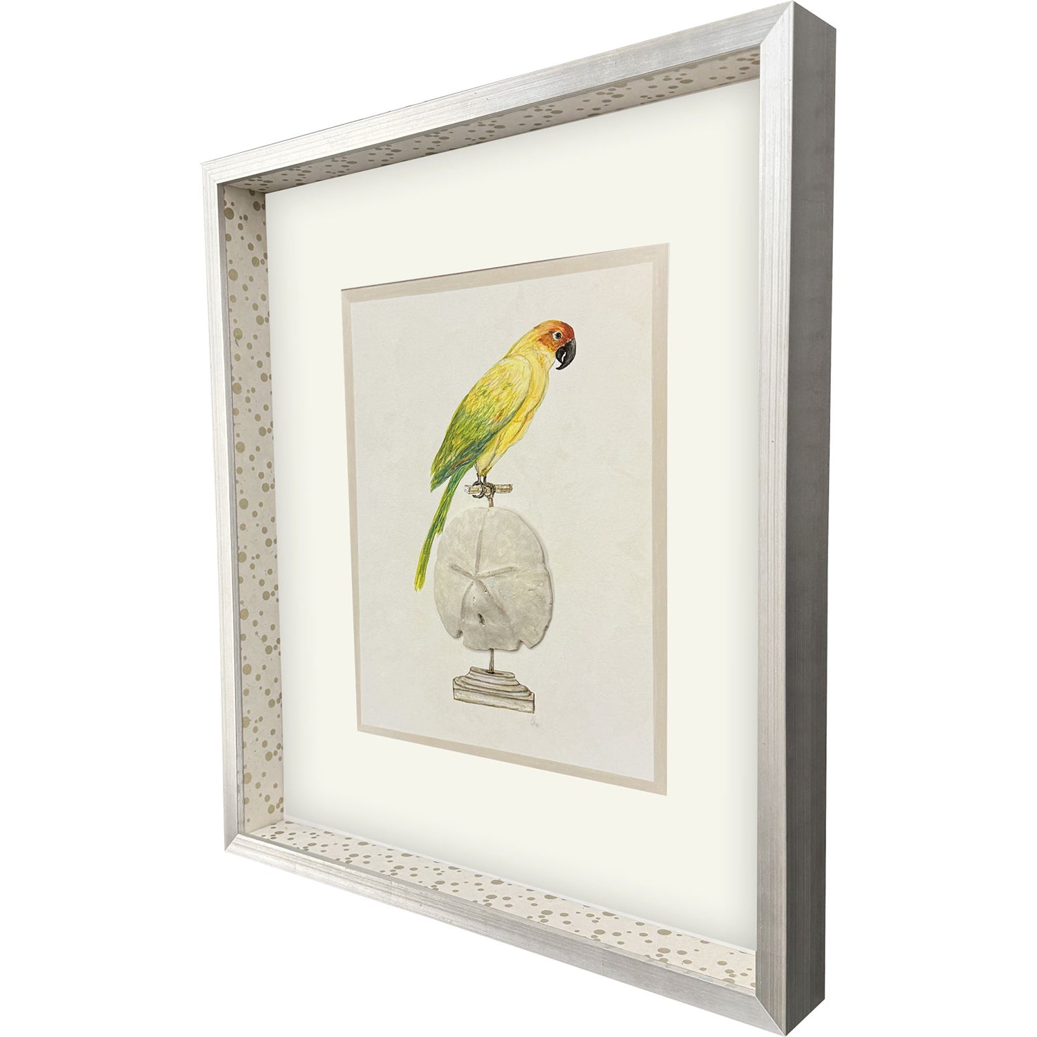 PopJoy Studio Treasure Parrot III Framed Artwork