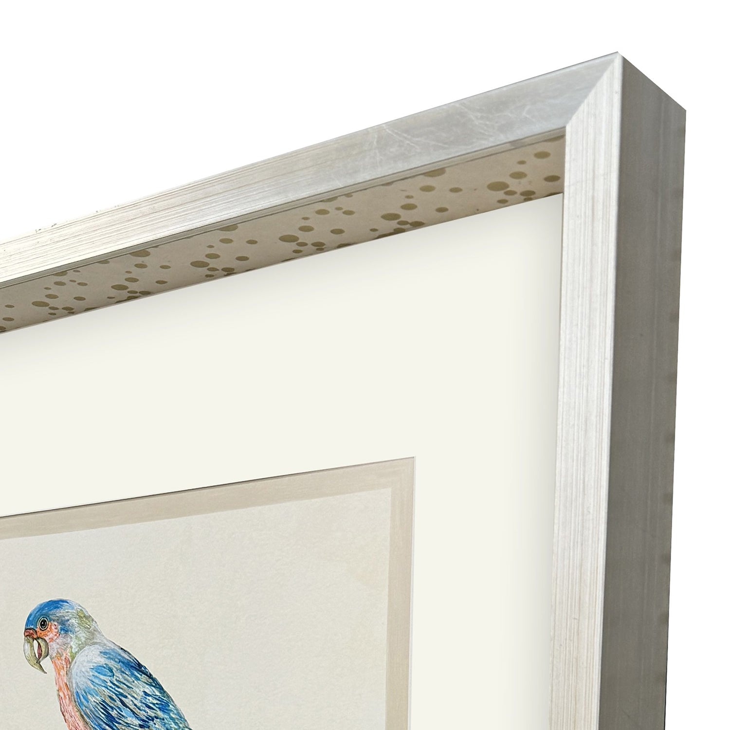 PopJoy Studio Treasure Parrot IV Framed Artwork