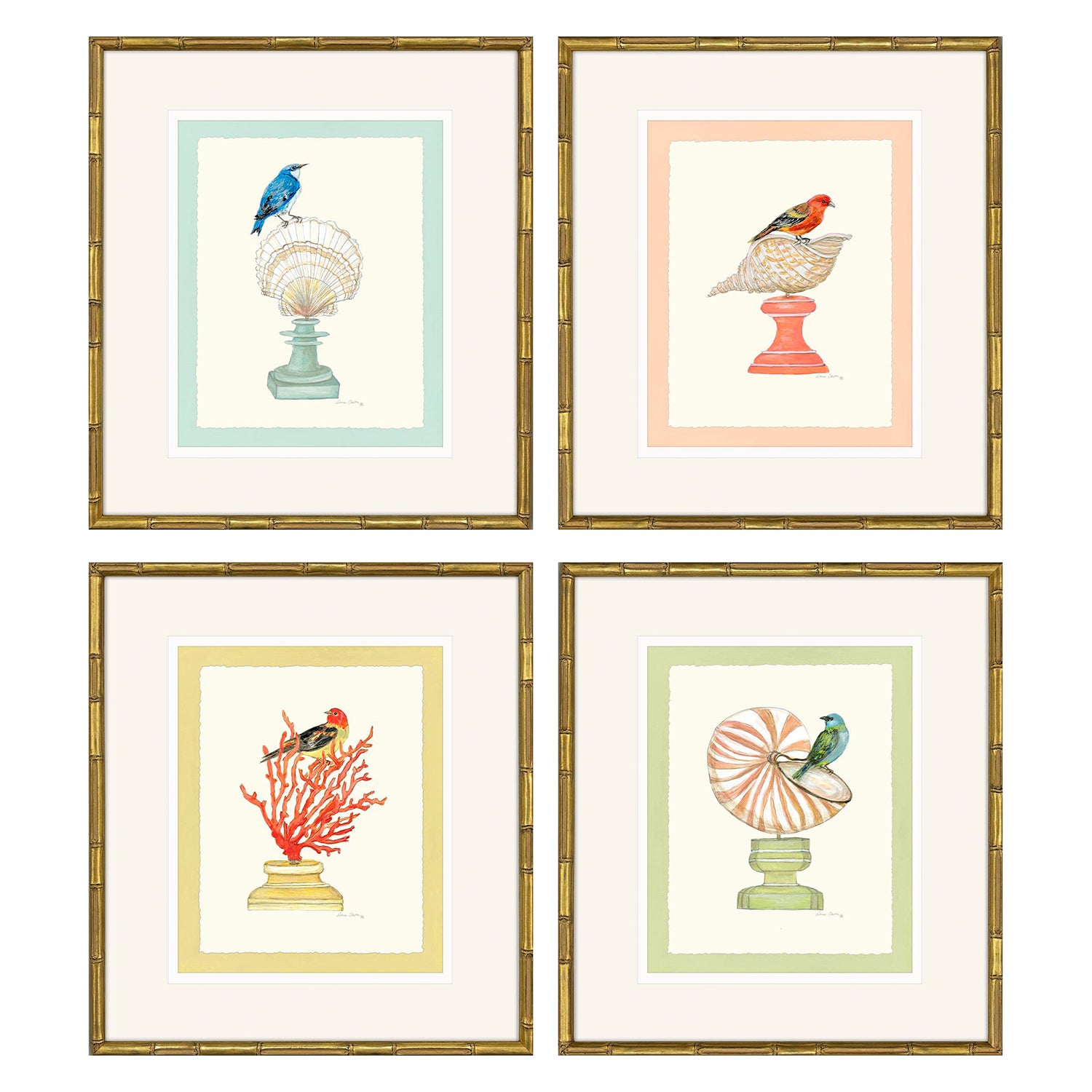 Clayton Bird with Shell Framed Artwork Set of 4