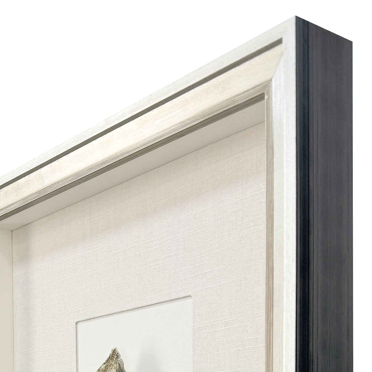 Baker Oyster in Paradise II Framed Artwork