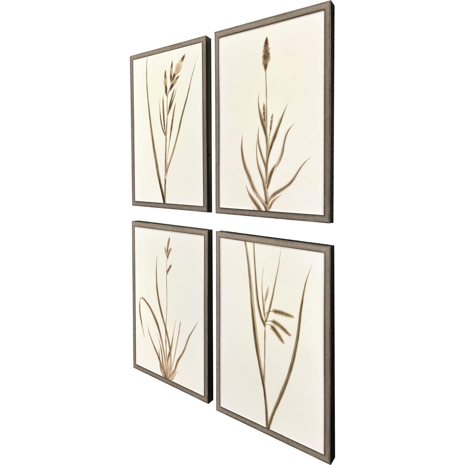 Giclee Studio Varying Grasses Framed Artwork Set of 4