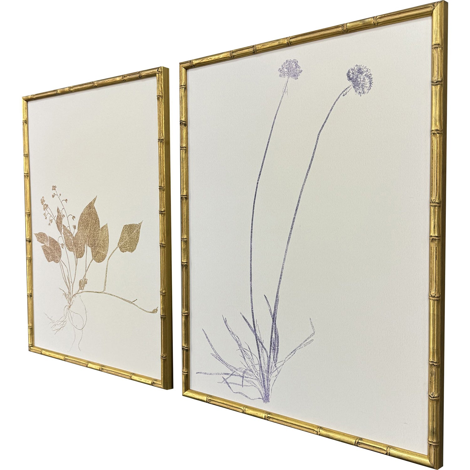 Bell Floral Trace II Framed Artwork Set of 2