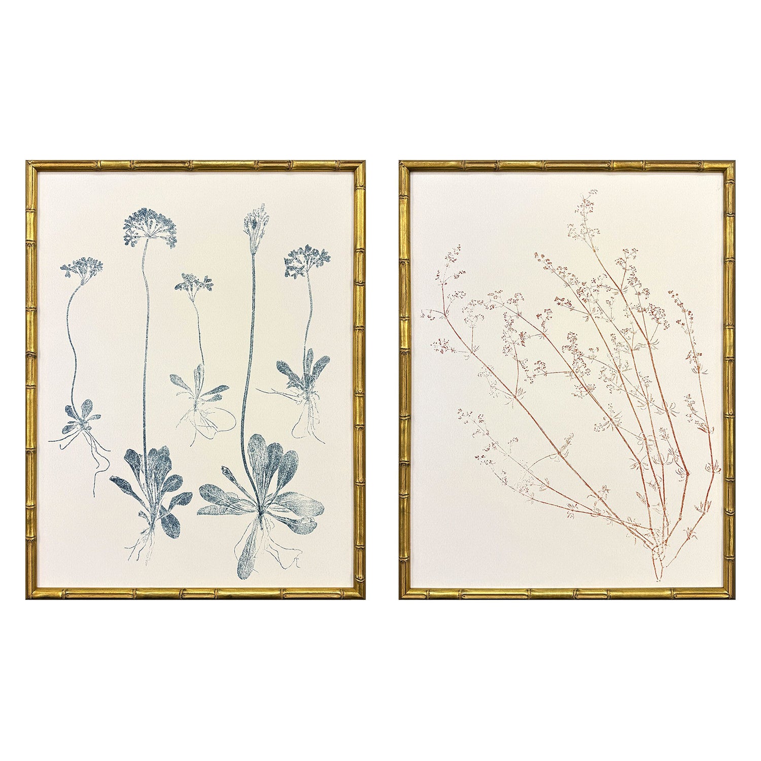 Bell Floral Trace III Framed Artwork Set of 2