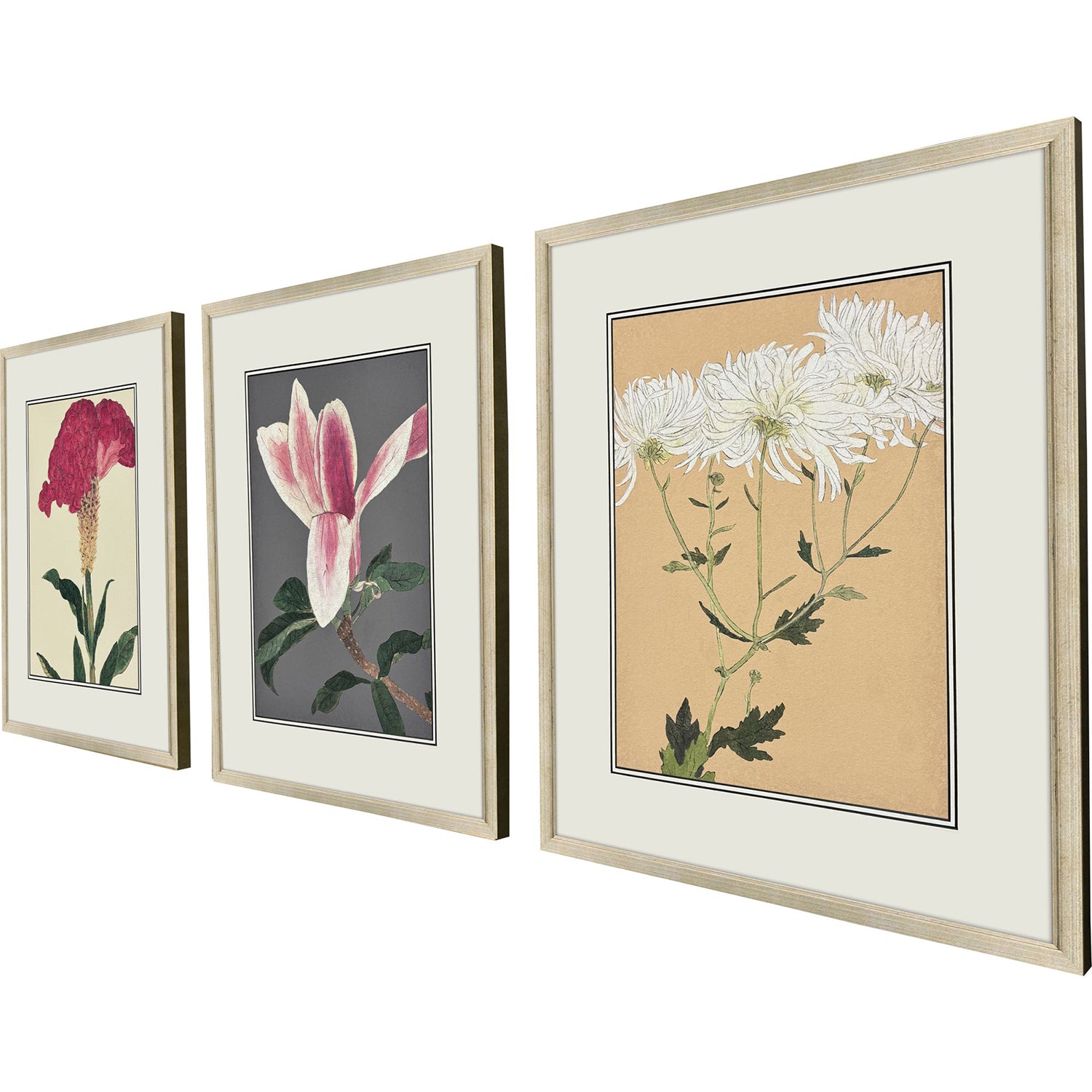 Drammis Enchanted Blooms I Framed Artwork Set of 3