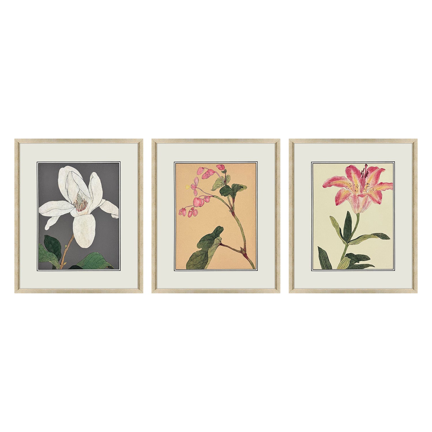 Drammis Enchanted Blooms II Framed Artwork Set of 3