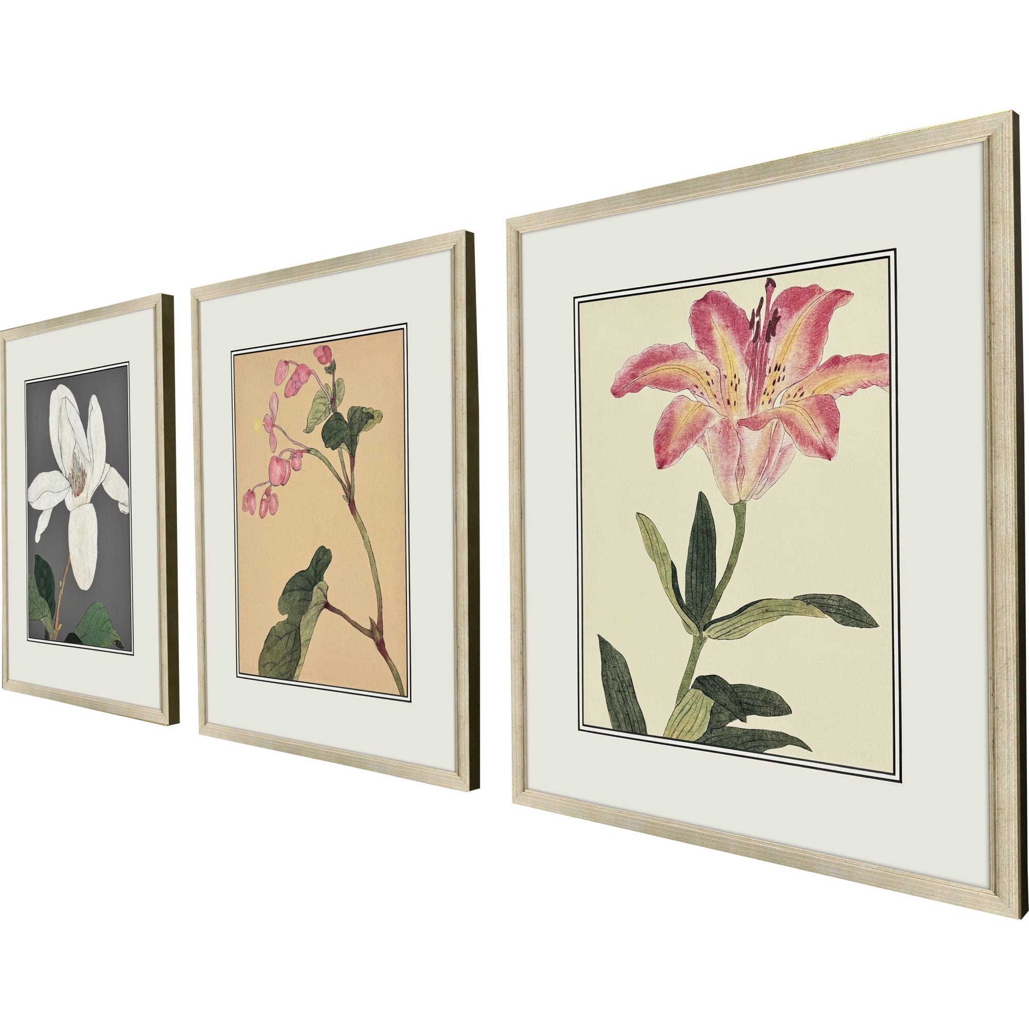 Drammis Enchanted Blooms II Framed Artwork Set of 3