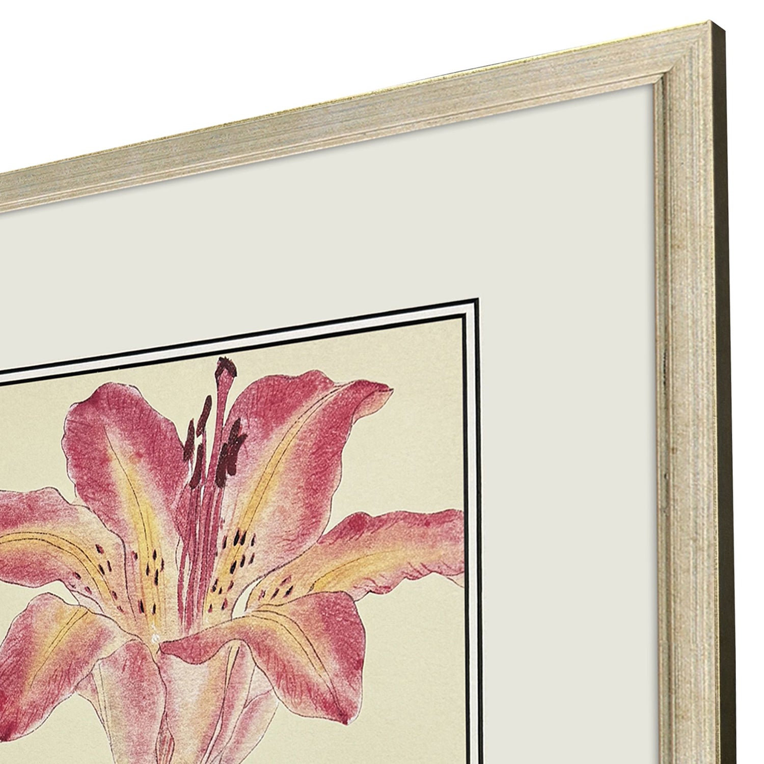 Drammis Enchanted Blooms II Framed Artwork Set of 3