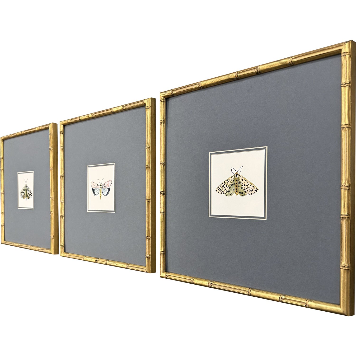 Zaman Pastel Moths I Framed Artwork Set of 3